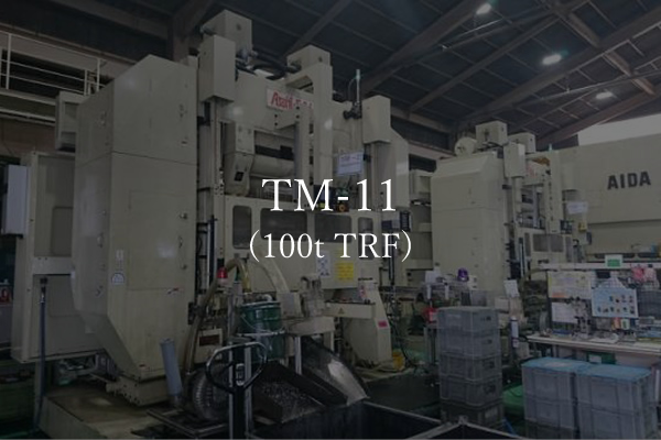 TM-11